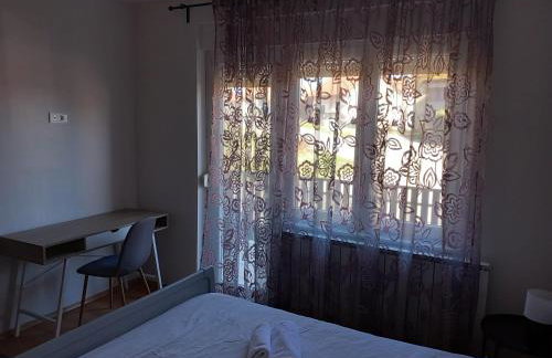 Shalom Krašić - Foto 21