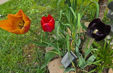 Ferienwohnung Olivenblick Bad Honnef - Foto 36