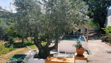 Casa da Praia do Ribatejo - Casa da Arcada - Foto 5