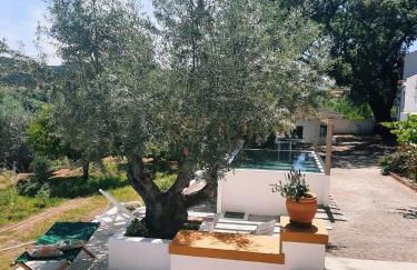 Casa da Praia do Ribatejo - Casa da Arcada - Foto 5