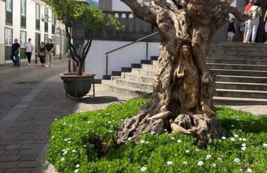 Viviendas vacacionales San Mateo - Foto 4