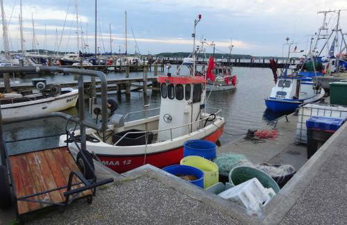 Fewo-Cicilie - Foto 31