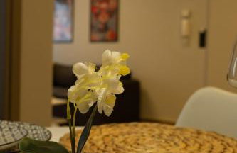 Sweeten's Flat - Photo 20