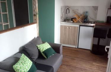 Studio thème Dublin à Valdivienne - Foto 1