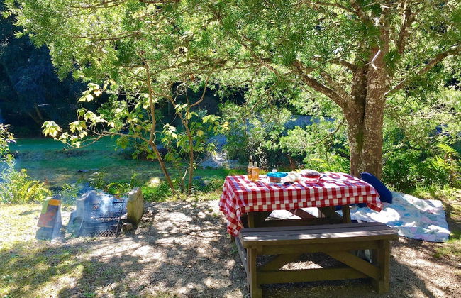 Forest Edge - Foto 66