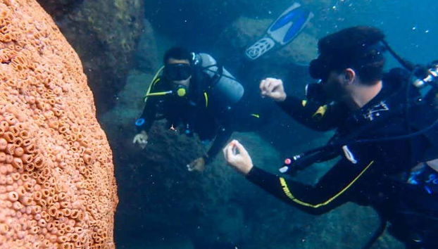 NAUI Open Water Diving Course in Ilhabela - Photo 2