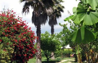 Agriturismo Torre Del Golfo - Foto 11