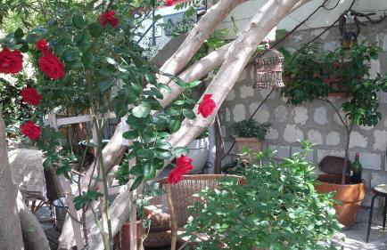 Cielito Lindo - Foto 1