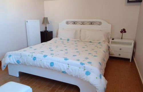 Sofita Di Sofo - Foto 17