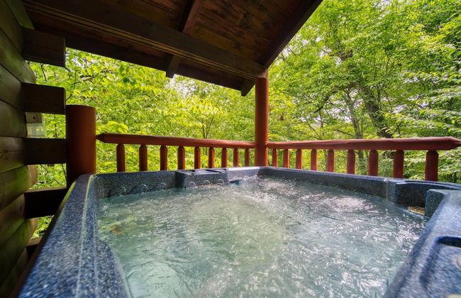 Mountain Laurel - Foto 25