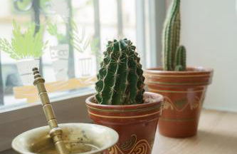 APARTAMENTO CAMINO MOZARABE - Foto 11