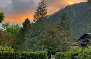 Studio au calme avec jardin et vue Mont-Blanc - Foto 17
