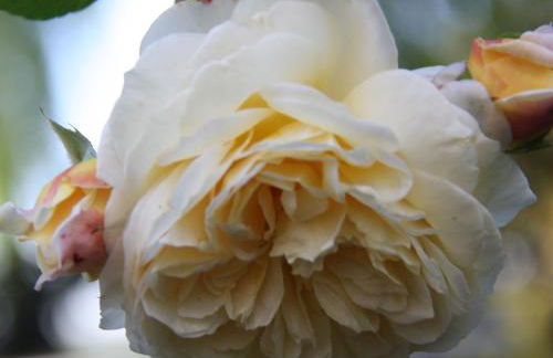 Ferienwohnungen Pano - Foto 7