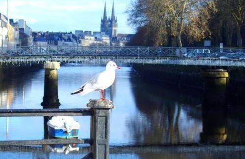 Sweet home en plein coeur de Quimper - Photo 21