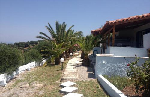 George Paradise - Foto 8