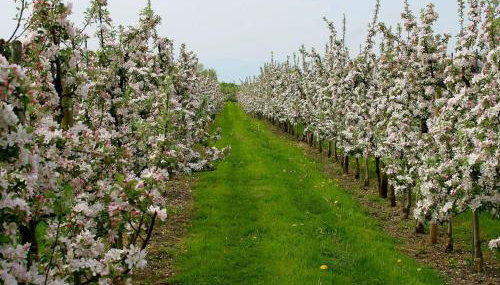 Ferienwohnungen Shamal - Foto 4