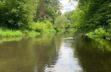 Domek w lesie blisko rzeki - Foto 14