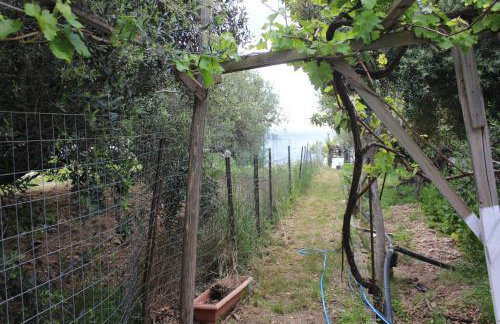 Aaron Apartments - Foto 2