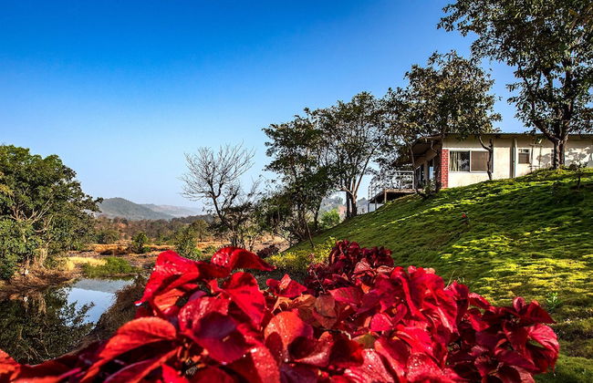 The Lazy River Cottage by cosmicstays - Foto 33