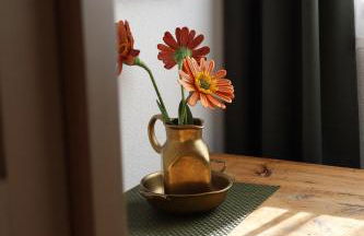 Apartment Wörer - Foto 8