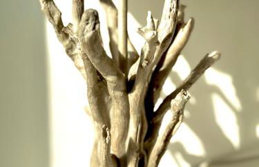 Oltremare Suite N37 Benessere invernale con vista mare - Foto 12