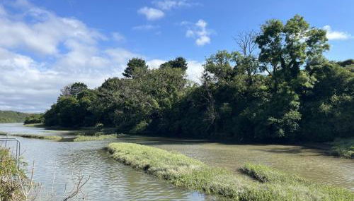 2 Bedrooms overlooking Little Petherick Creek - Foto 5