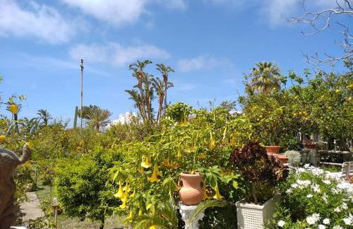 Residence Limoneto Ischia - Foto 36