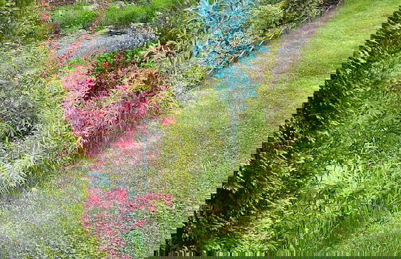 Haus mit Pool Großschönau - Foto 26