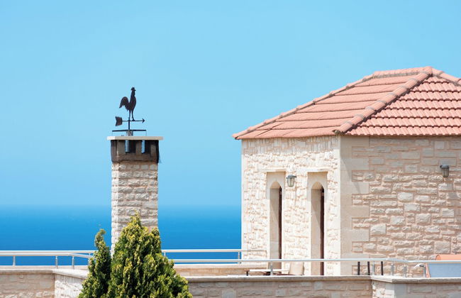 Sarpedon & Rhadamanthus By Forest Villas - Photo 35