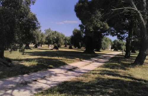 grottedisileno - Foto 10