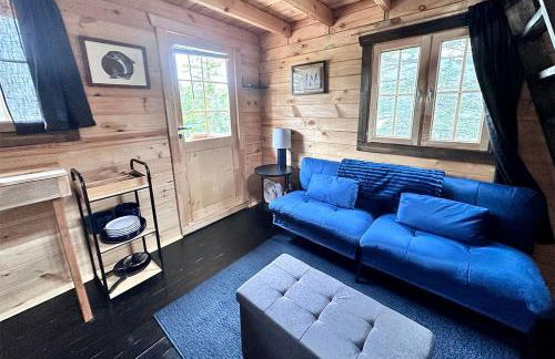 Solar Powered Lakefront Twin Tiny Houses in Cantwell Alaska, Perfect for a Group Getaway to Denali National Park - Foto 9