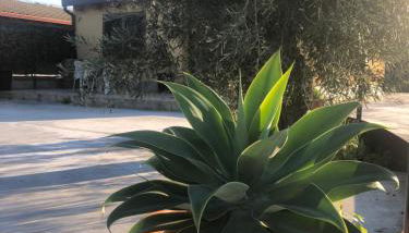 Villa Corradina - Photo 5, Garden view