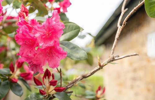 High Peak 5-Star Haven Gardens, Parking & WiFi - Foto 54