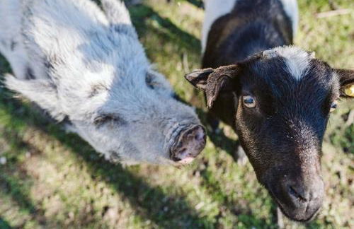 Agriturismo Il Canto delle rane - Photo 60