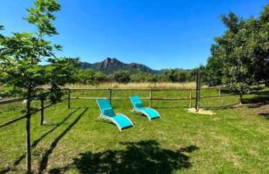 Federica's apartment - Foto 1