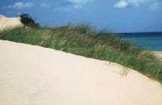 Dolce Bungalow R5915 - Foto 1