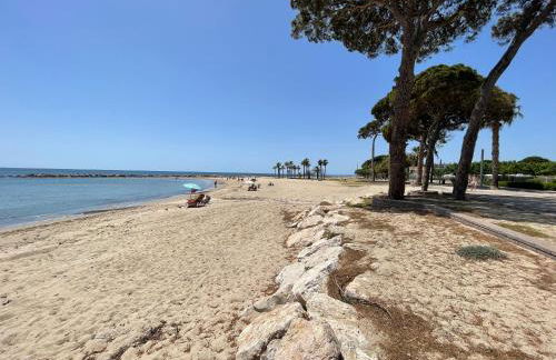 Myhost la Dorada frente al mar - Photo 30