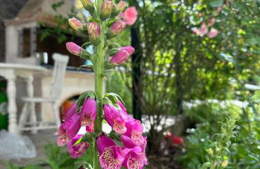 Forest cottage top of the world - Foto 23