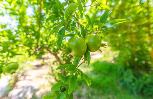 Casa Pájaro Colores in Bolonia - Foto 79