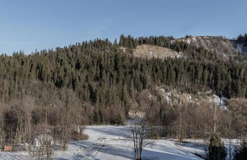 Hotel Litworowy Staw - Foto 77