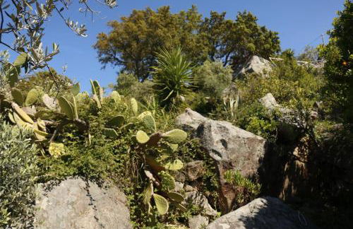 Villa Canale - Foto 41