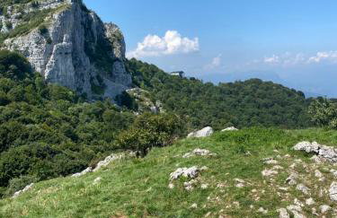 La coccinella - Foto 29