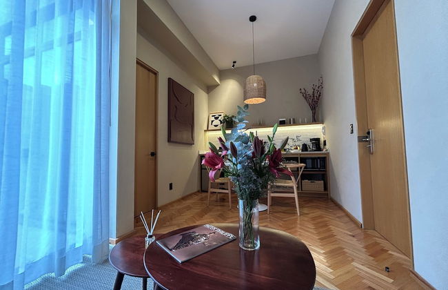 Ana Polanco Apartments - Foto 25