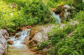 La Fontanina - Photo 47