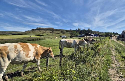Craven Garth Cottages - Foto 8