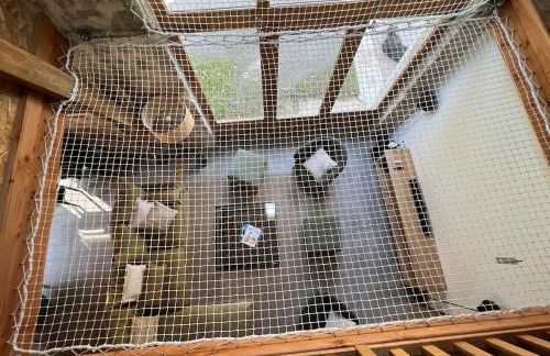 Très beau gîte à proximité du Lac de Vassivière - Foto 27