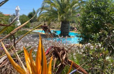 Quinta Cunte - Casa Sobreiro - Foto 28