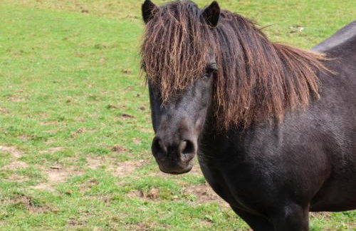 Granary Cottage - Foto 29