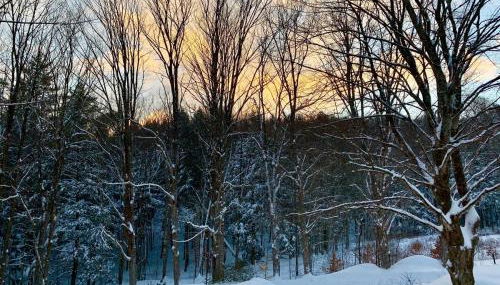 Secluded Farmhouse Near Okemo, Bromley, Sunapee - Foto 2