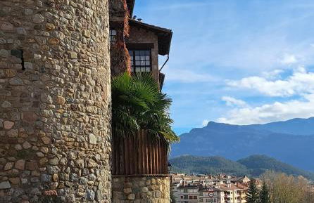 Cal Bardillo - Foto 9